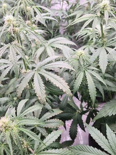 Growreport Bild 18