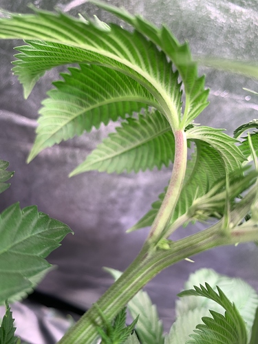 Growreport Bild 10
