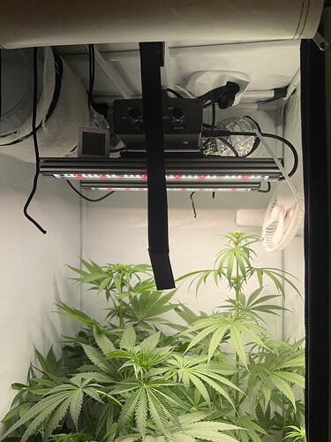 Growreport Bild 1