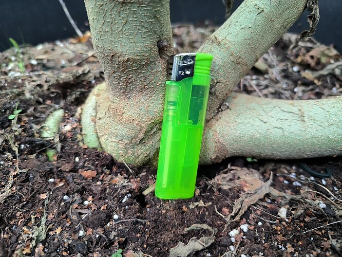 Growreport Bild 9