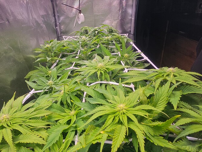 Growreport Bild 14