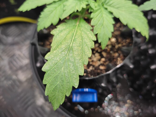 Growreport Bild 4