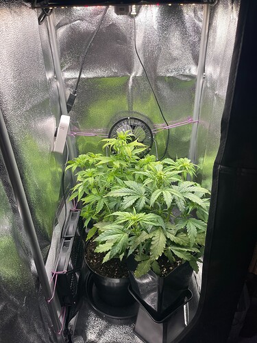 Growreport Bild 4