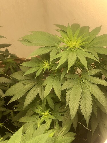 Growreport Bild 11