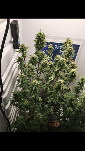 Growreport Bild 18