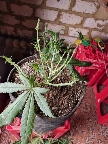 Growreport Bild 7