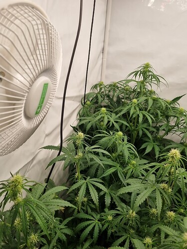 Growreport Bild 25