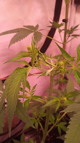 Growreport Bild 12