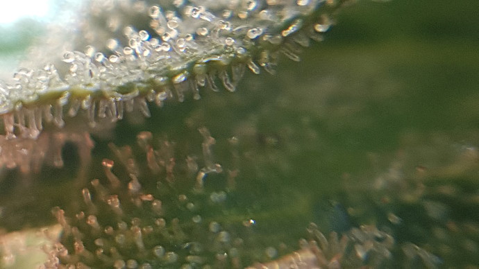20210214_182012