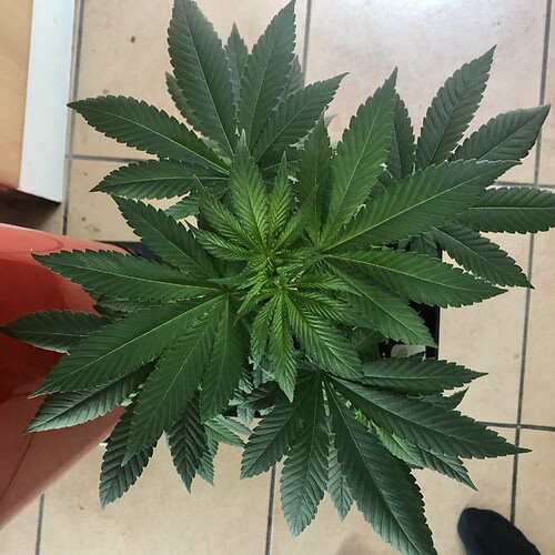 Growreport Bild 12