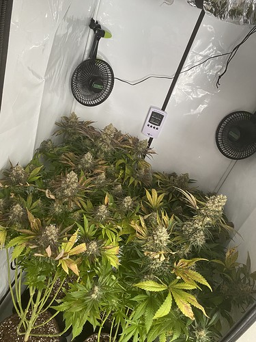 Growreport Bild 2