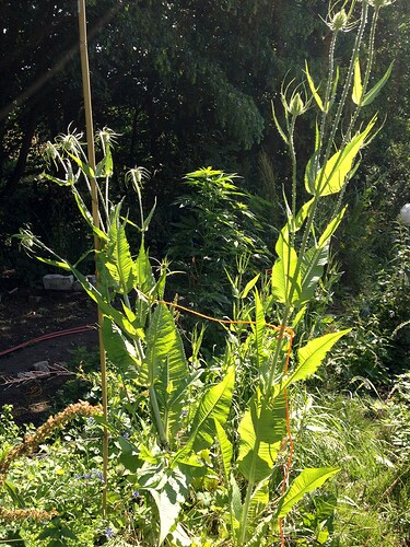 070_SiebterSiebter_01