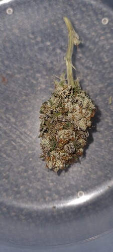Growreport Bild 14