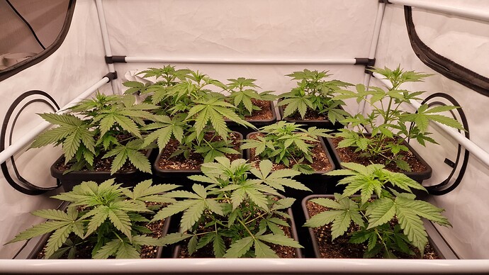 Growreport Bild 11