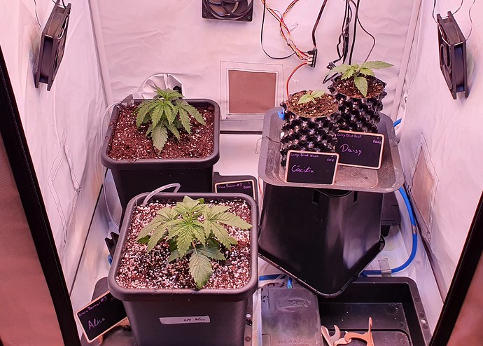 Growreport Bild 14