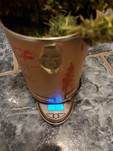 Growreport Bild 12