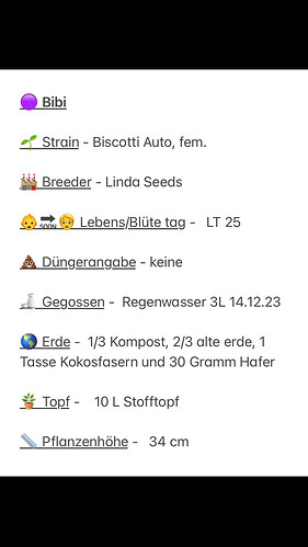 Growreport Bild 4