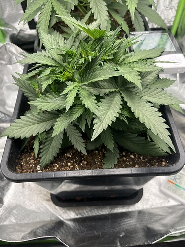 Growreport Bild 10