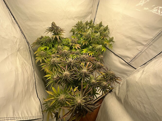 Growreport Bild 26