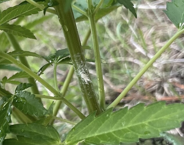 Growreport Bild 12
