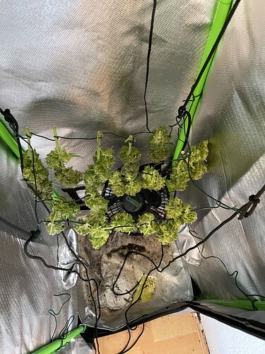 Growreport Bild 5