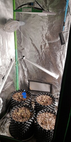 Growreport Bild 14