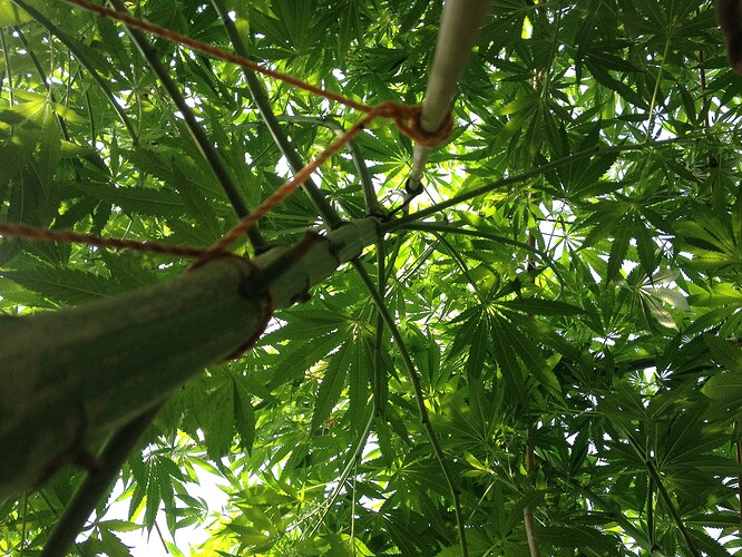 Growreport Bild 9