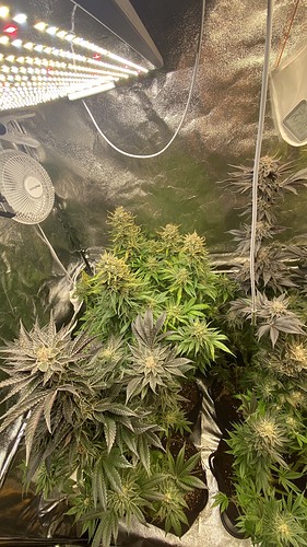 Growreport Bild 22