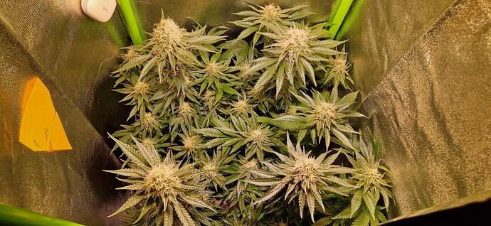 Growreport Bild 10