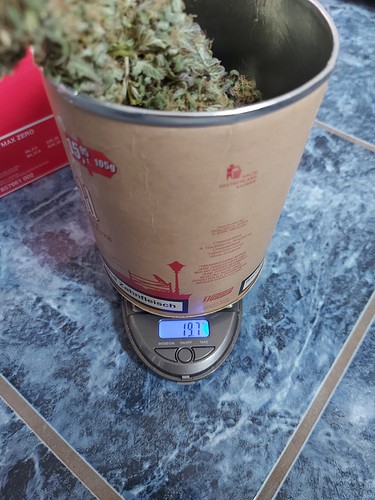 Growreport Bild 3