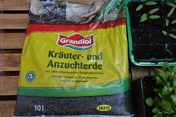 Growreport Bild 34