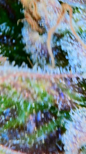 Growreport Bild 4