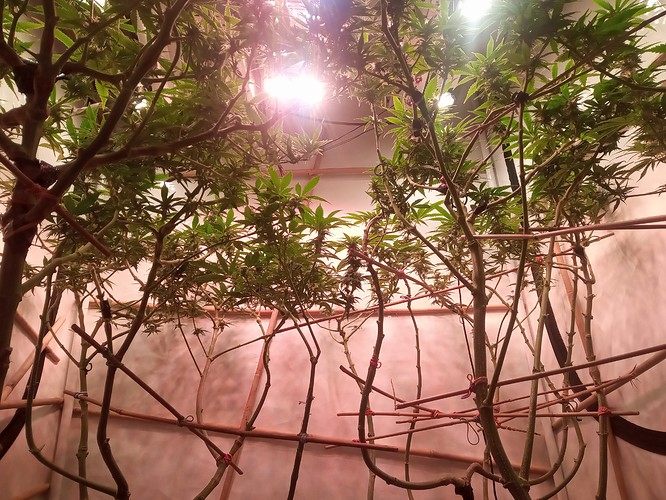 IMG_20210314_221150_530