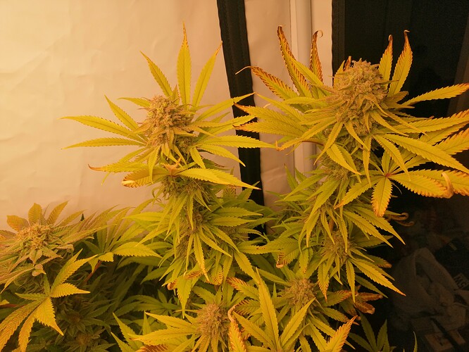 Growreport Bild 8