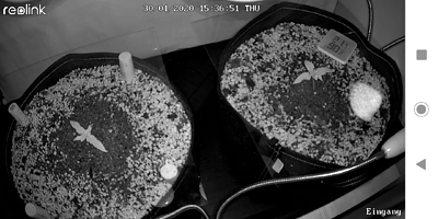 Growreport Bild 14