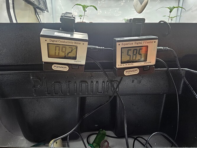 Growreport Bild 19