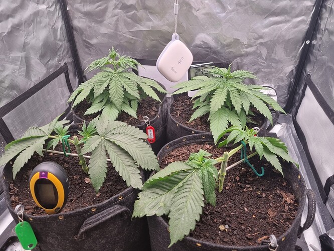 Growreport Bild 15