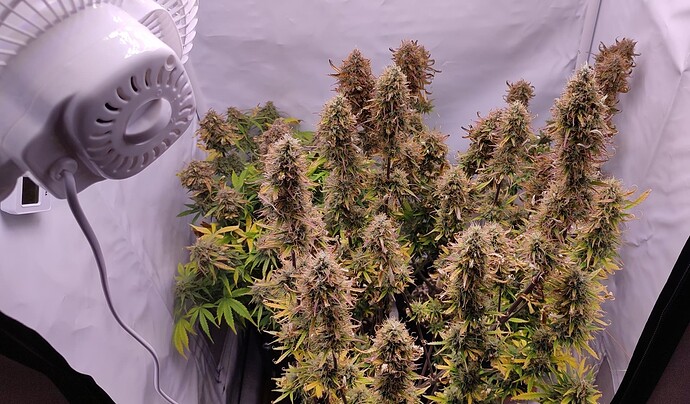 Growreport Bild 2