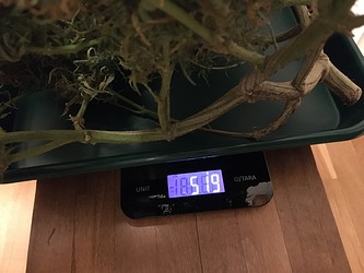 Growreport Bild 15
