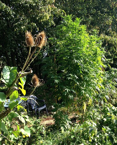 Growreport Bild 16