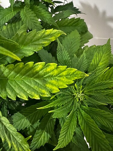 Growreport Bild 4