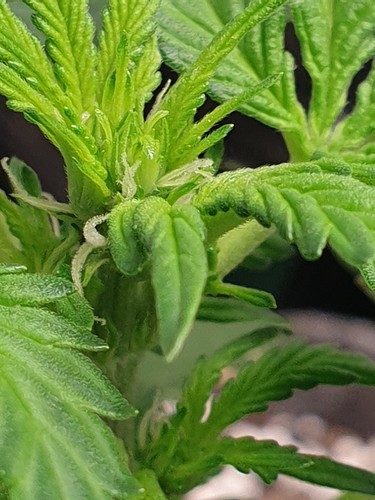 Growreport Bild 12