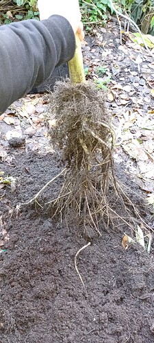Growreport Bild 12