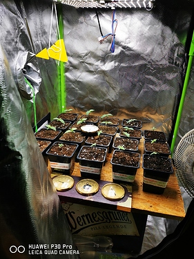 Growreport Bild 2