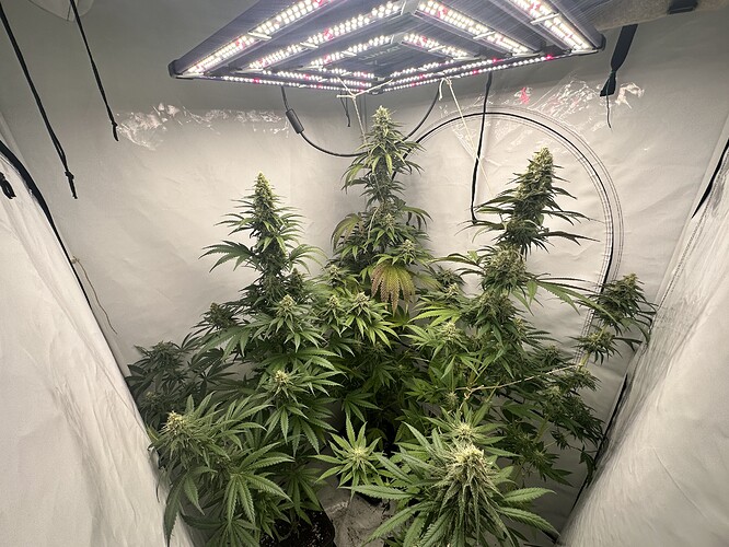 Growreport Bild 9