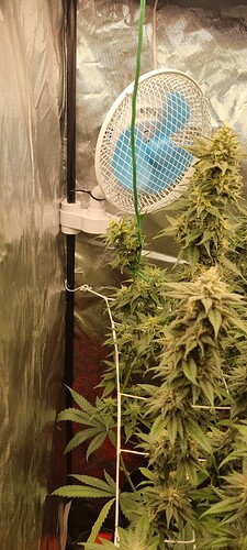 Growreport Bild 22