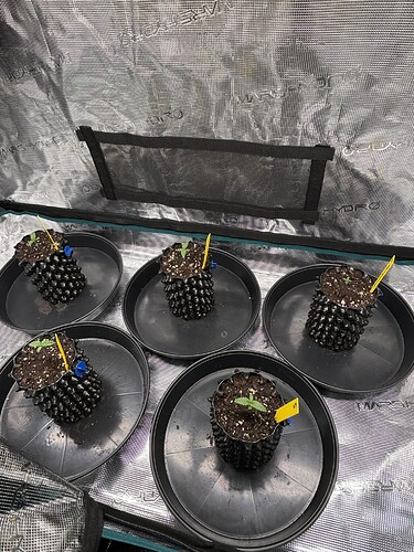 Growreport Bild 22