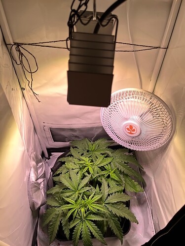 Growreport Bild 3