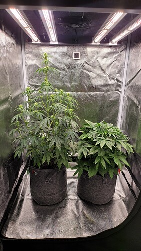 Growreport Bild 2