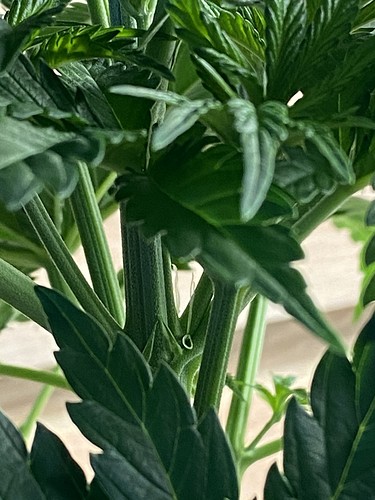 Growreport Bild 13